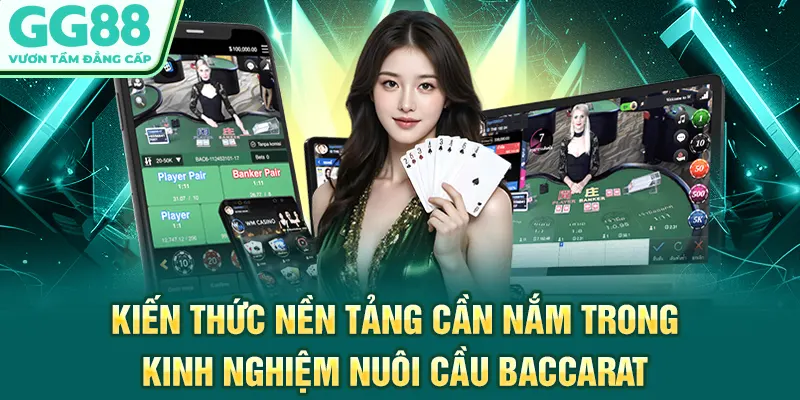 Kiến thức nền tảng cần nắm trong kinh nghiệm nuôi cầu Baccarat