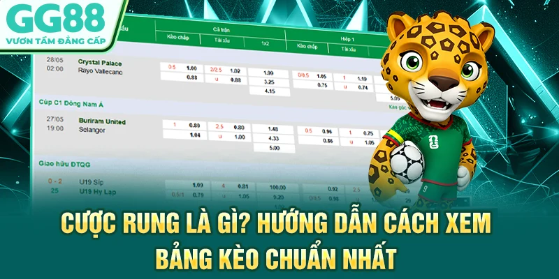 Cược Rung Là Gì? Hướng Dẫn Cách Xem Bảng Kèo Chuẩn Nhất